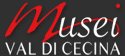 logo musei val di cecina